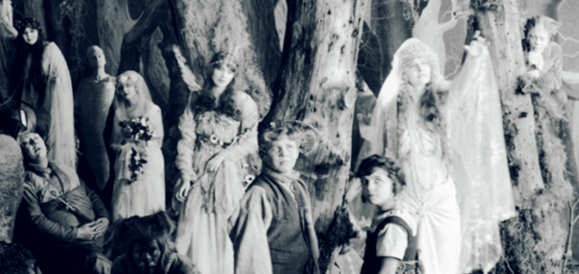 A boldogság kék madara Dr.Kerchy Anna-12