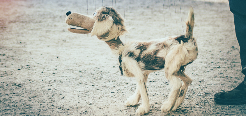 Tasnadi  pixpoetry-01