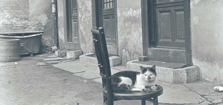 Meselexikon   Harmath Artemisz-02