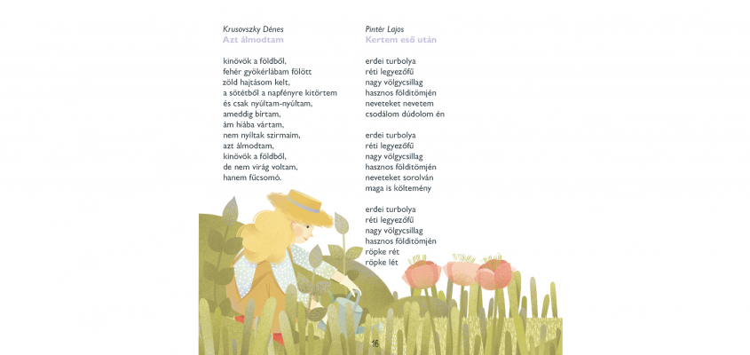 Miklya Tankönyv Csörgei-10