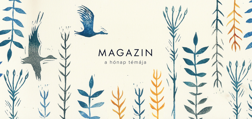 FRANCIA GYEREKIRODALOM Esti Kérdés-02