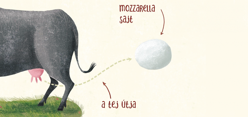 Kalas Györgyi Sandwich grófja és a nápolyi pizza Parti Judit-05