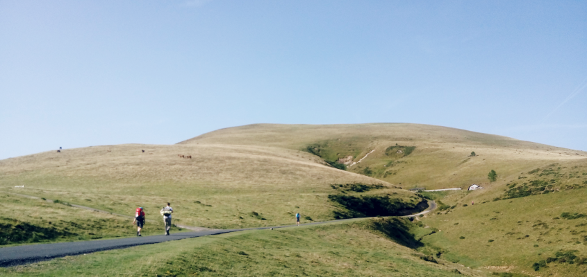 Lovász Andrea körkérdés-01