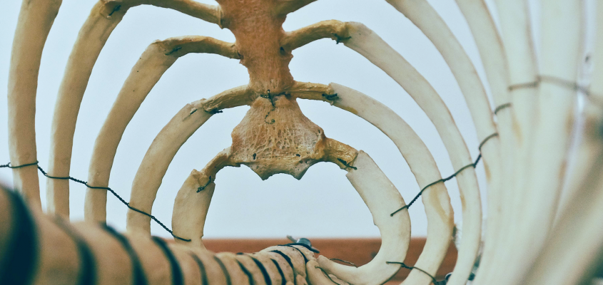 Lovász Ádám Horváth Márk tanulmány SÖTÉT PEDAGÓGIA-06