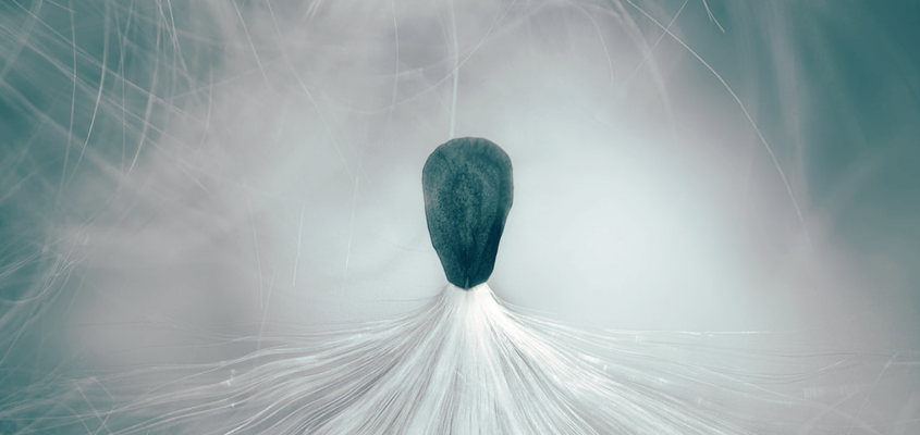 Lovász Ádám Horváth Márk tanulmány SÖTÉT PEDAGÓGIA-01