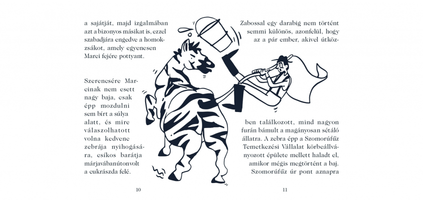 Várszegi Adél: A ló, aki zebra volt Parti Judit Csimota-04