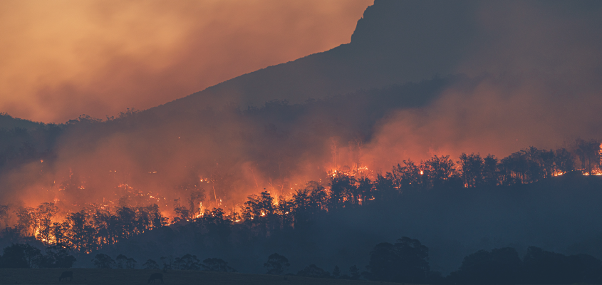 Rojik Tamás Árulás  KOVÁCS GERGELY-02