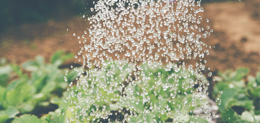 Rojik Tamás Árulás  KOVÁCS GERGELY-03