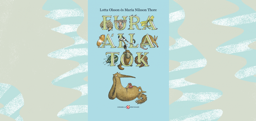 Lovasz Andrea Testi ügyek ‒ vicces vagy undi?-11