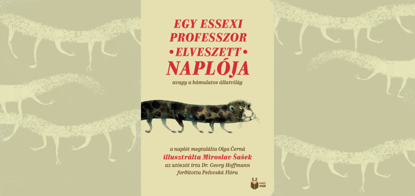 V Gyöngyi tavaszi újdonságok 2022-03