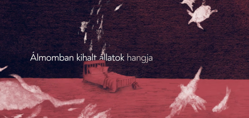 Regős Mátyás Kovács Gergely-02