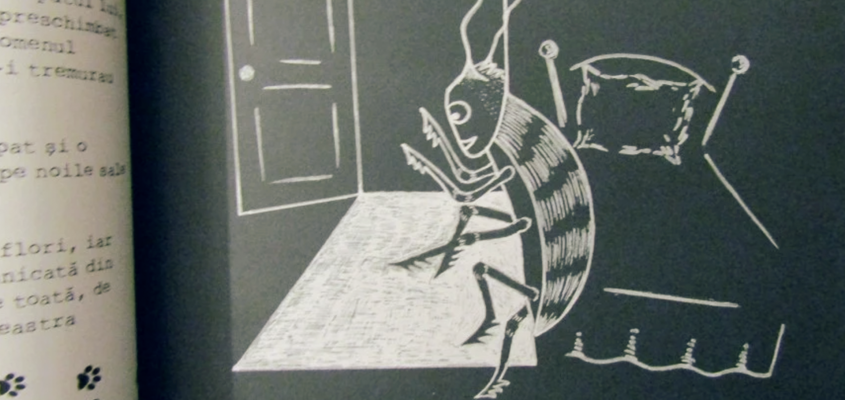 Veszprémi Szilveszter Ciprian Macesaru-03