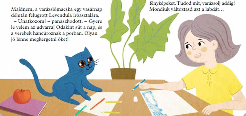 Mészöly Ágnes  A sünimentő akció Haklik Norbert-04