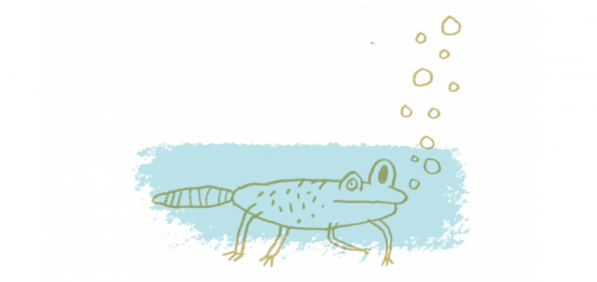 Kovács Gergely Dániel András Jaj, ne már-02