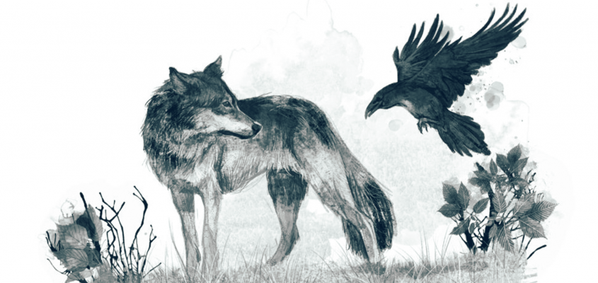 Rosanne Perry A farkas-02