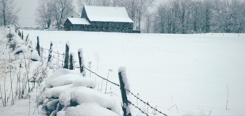 Mourlevat Cantabile  VÖRÖS JÚLIA-01