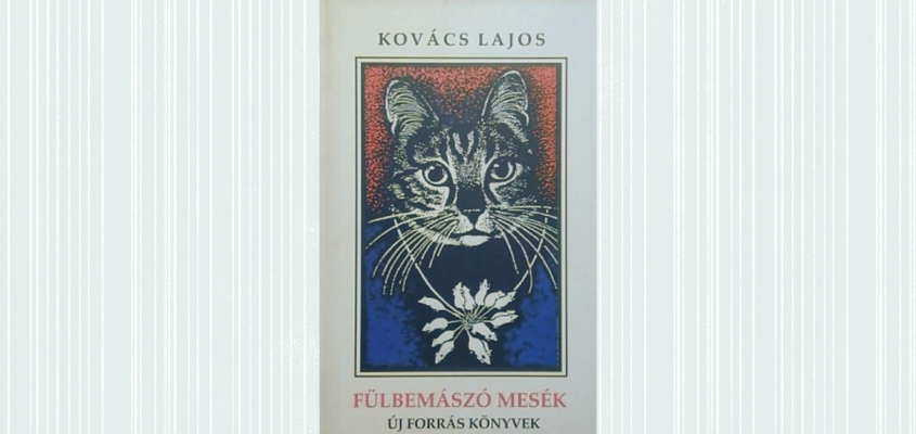 Bombitz Attila Kovács Lajos Gökhan-08