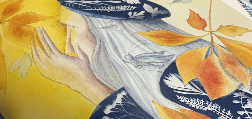 Simonyi Cecilia Noe bárkája-02