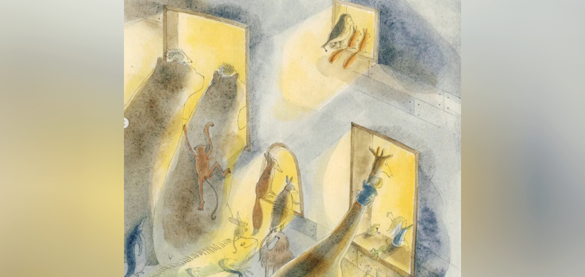 Simonyi Cecilia Noe bárkája-04