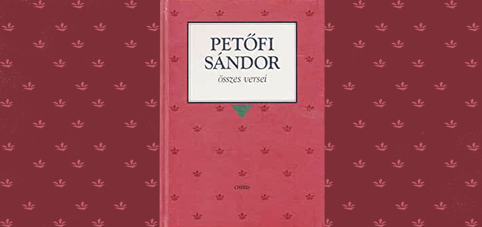 Telkes Zsoltne Petofi-02