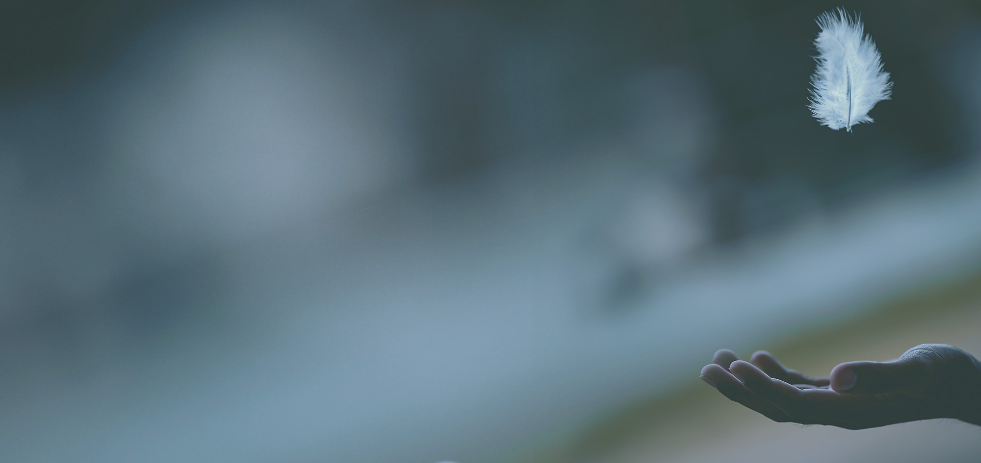 David Almond  Skellig P N Elza-01