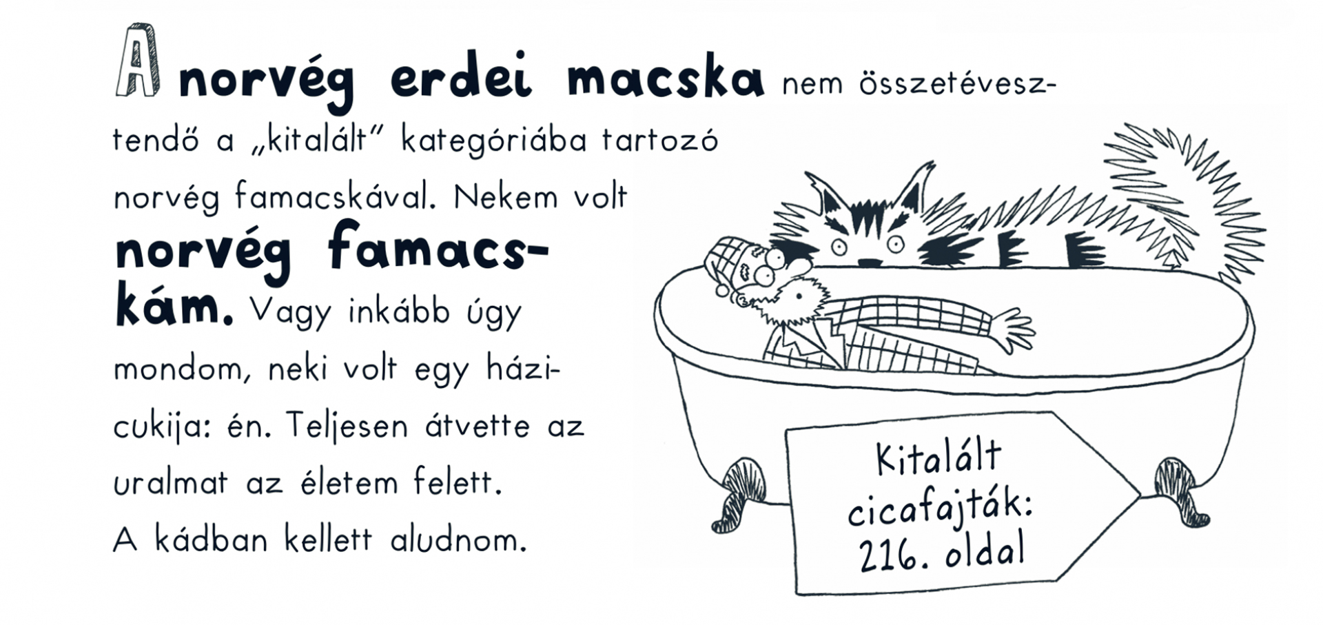 A házicukik mókás élete-02
