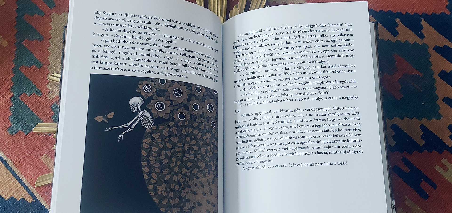 Meszoly Agnes POOS-01