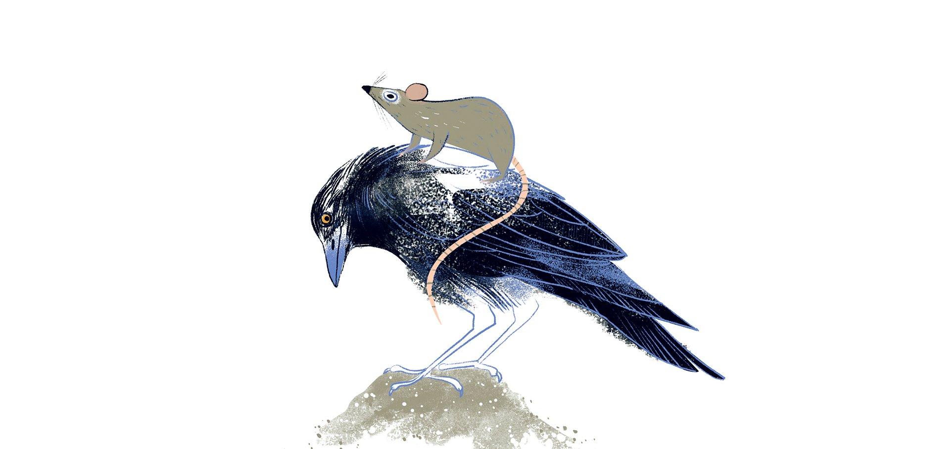 Csöri Nagyvárosi-02