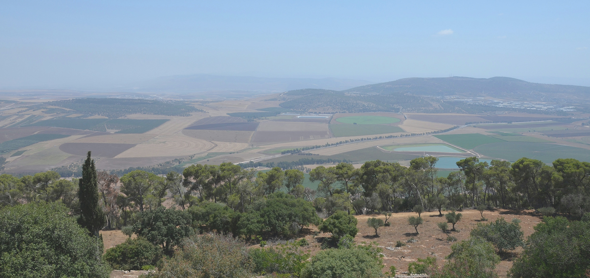 nogradi csaba jesua kovacs gergely-03