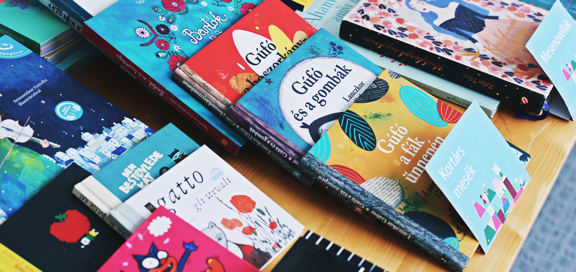 Olvasosarok nyar 24-01