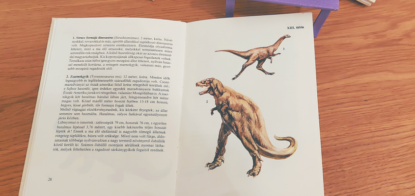 Poós Zoltán Miniverzum Buvár Kolibri-02