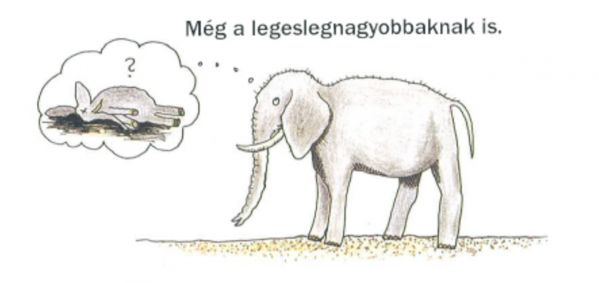 Nagy Gabriella Ágnes Pernilla Stalfelt Toth Krisztina-03