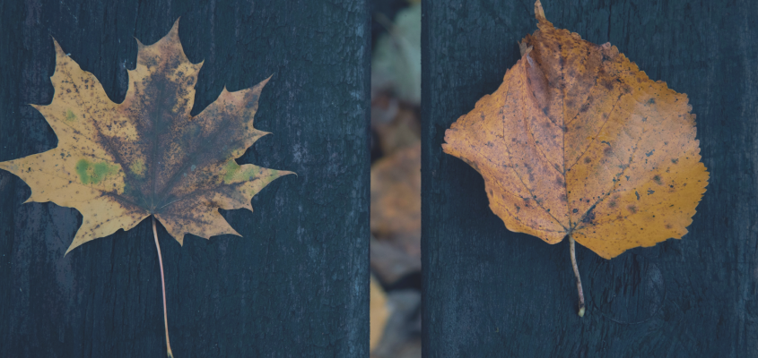 Keresztesi József-01