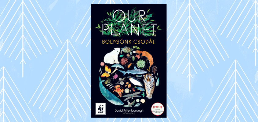 Karácsonyi ajánló 2020 kisiskolás-03