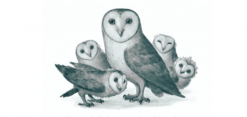 Katherine Applegate Kívánságfa Kocsis Katica-02